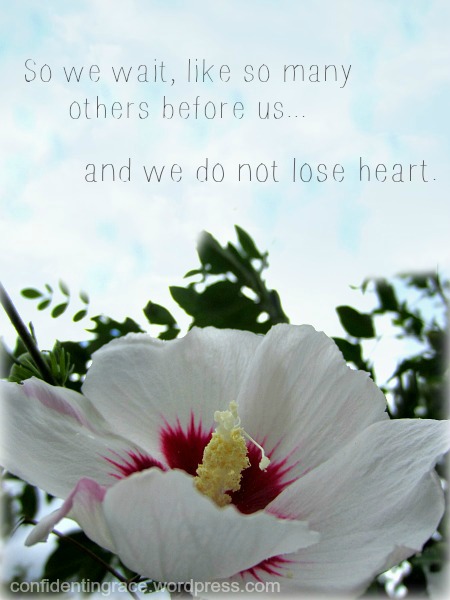 we do not lose heart